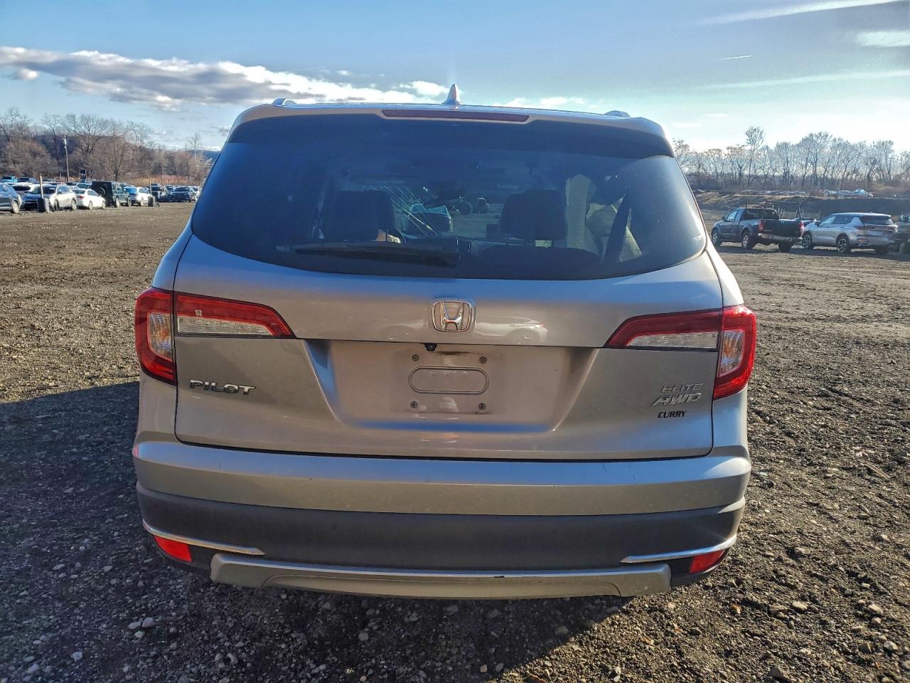 2020 Honda Pilot Elite VIN: 5FNYF6H05LB000879 Lot: 94277825