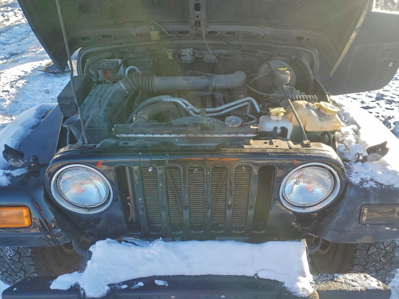 2004 Jeep Wrangler X VIN: 1J4FA39S24P757034 Lot: 95771145