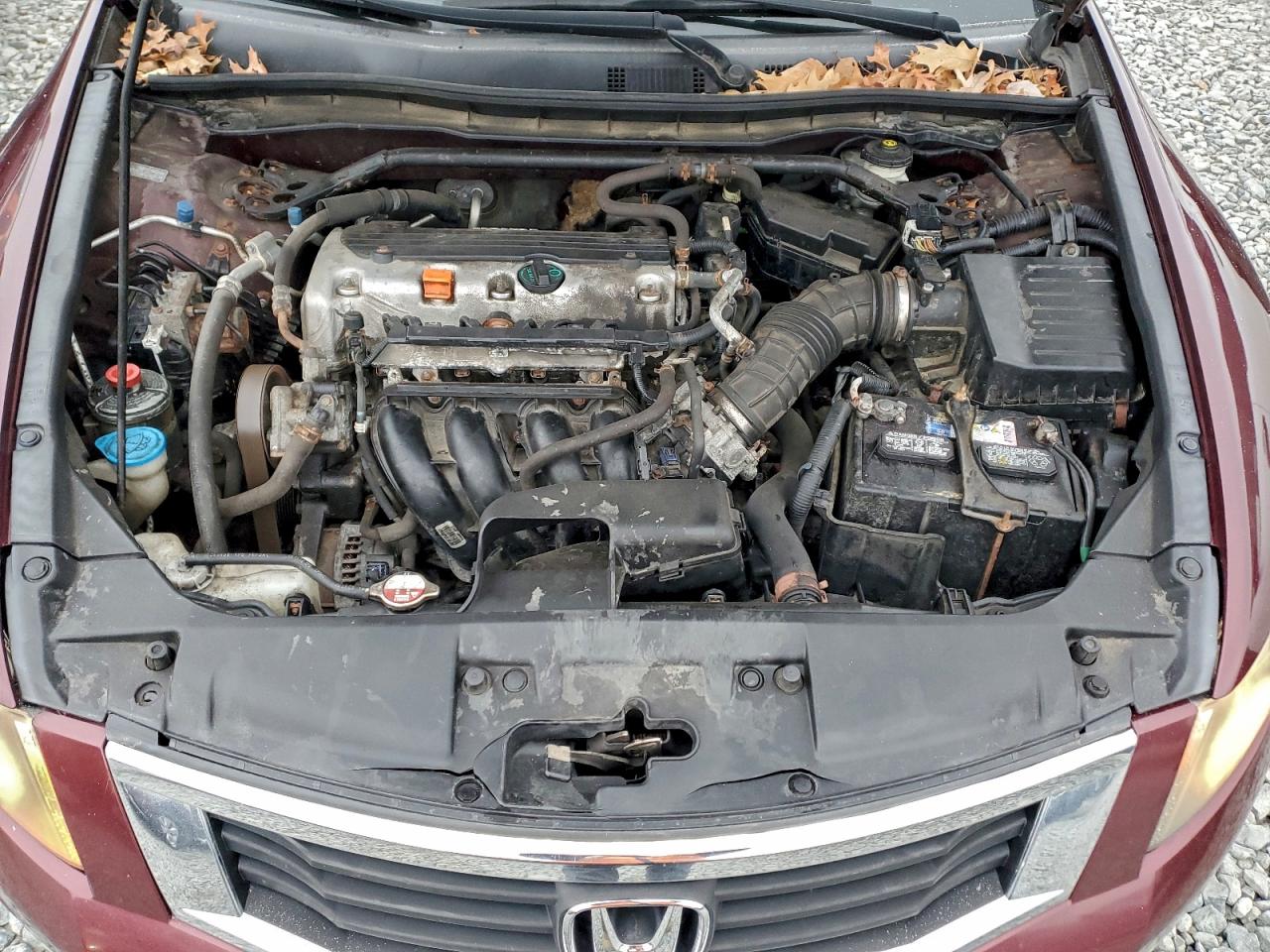 2010 Honda Accord Exl VIN: 1HGCP2F88AA014923 Lot: 94288775