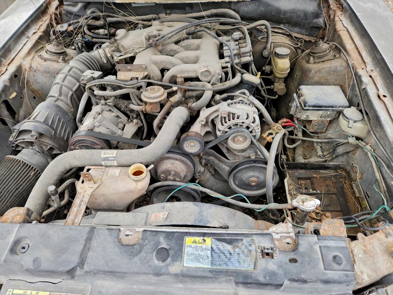 2002 Ford Mustang VIN: 1FAFP444X2F209861 Lot: 96010695