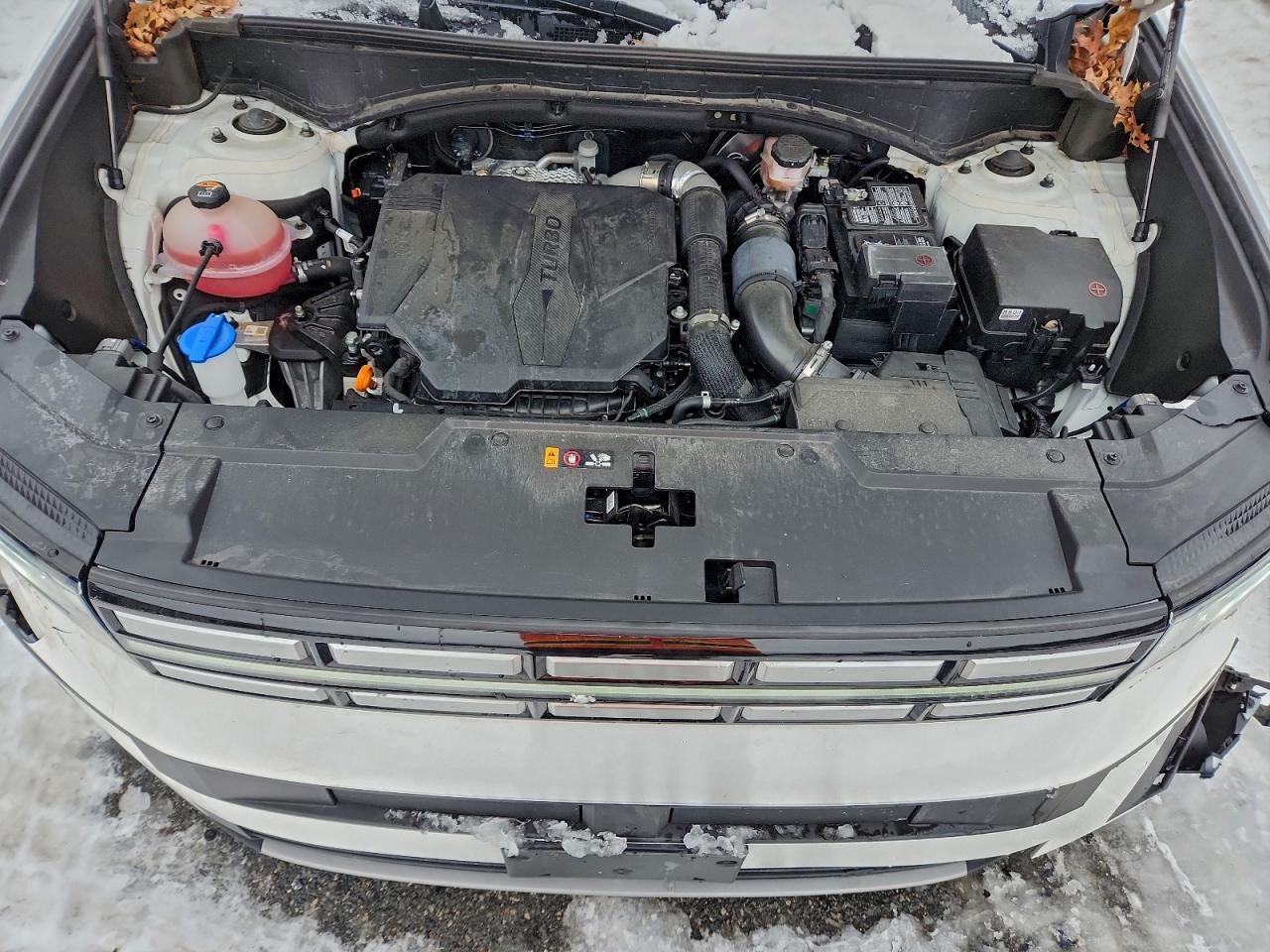 2024 Hyundai Santa Fe Sel VIN: 5NMP2DGL7RH013745 Lot: 97447895