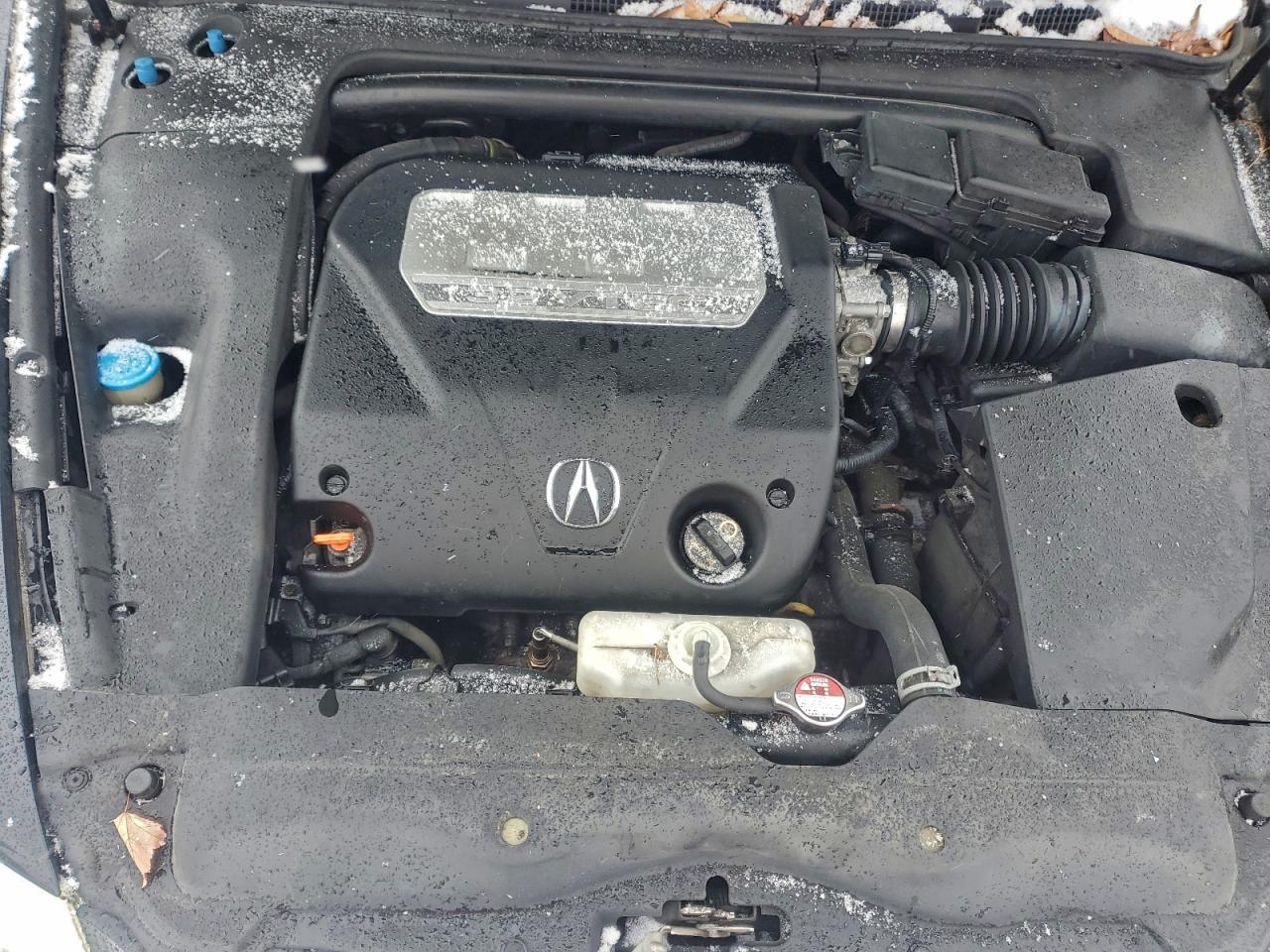 2008 Acura Tl VIN: 19UUA66238A035696 Lot: 95431835