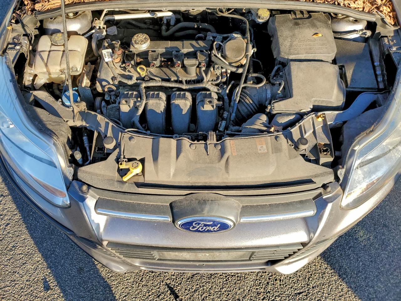 2014 Ford Focus Se VIN: 1FADP3F23EL297557 Lot: 95316335