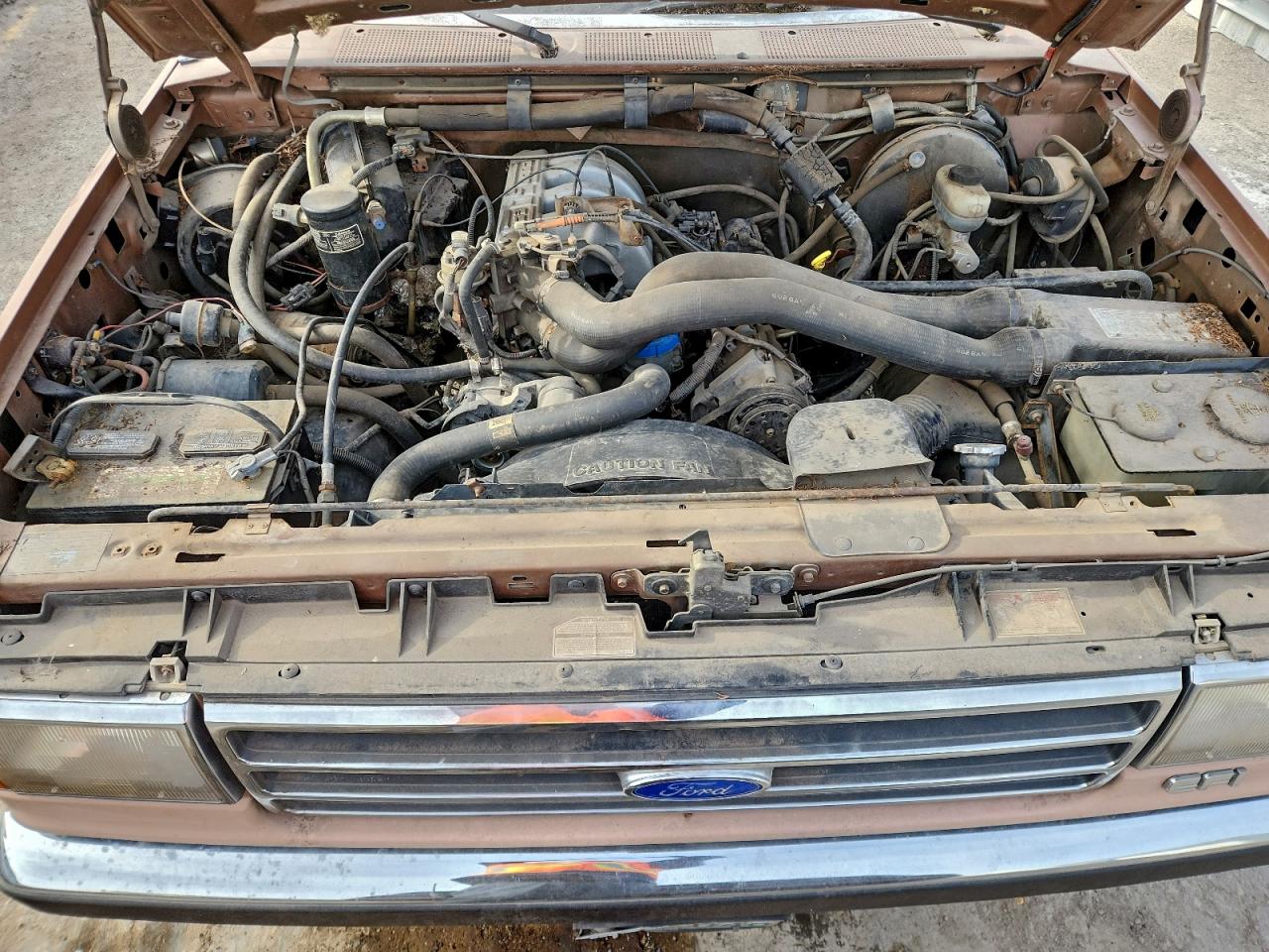 1989 Ford F150 VIN: 1FTDF15N7KPB48330 Lot: 94817215