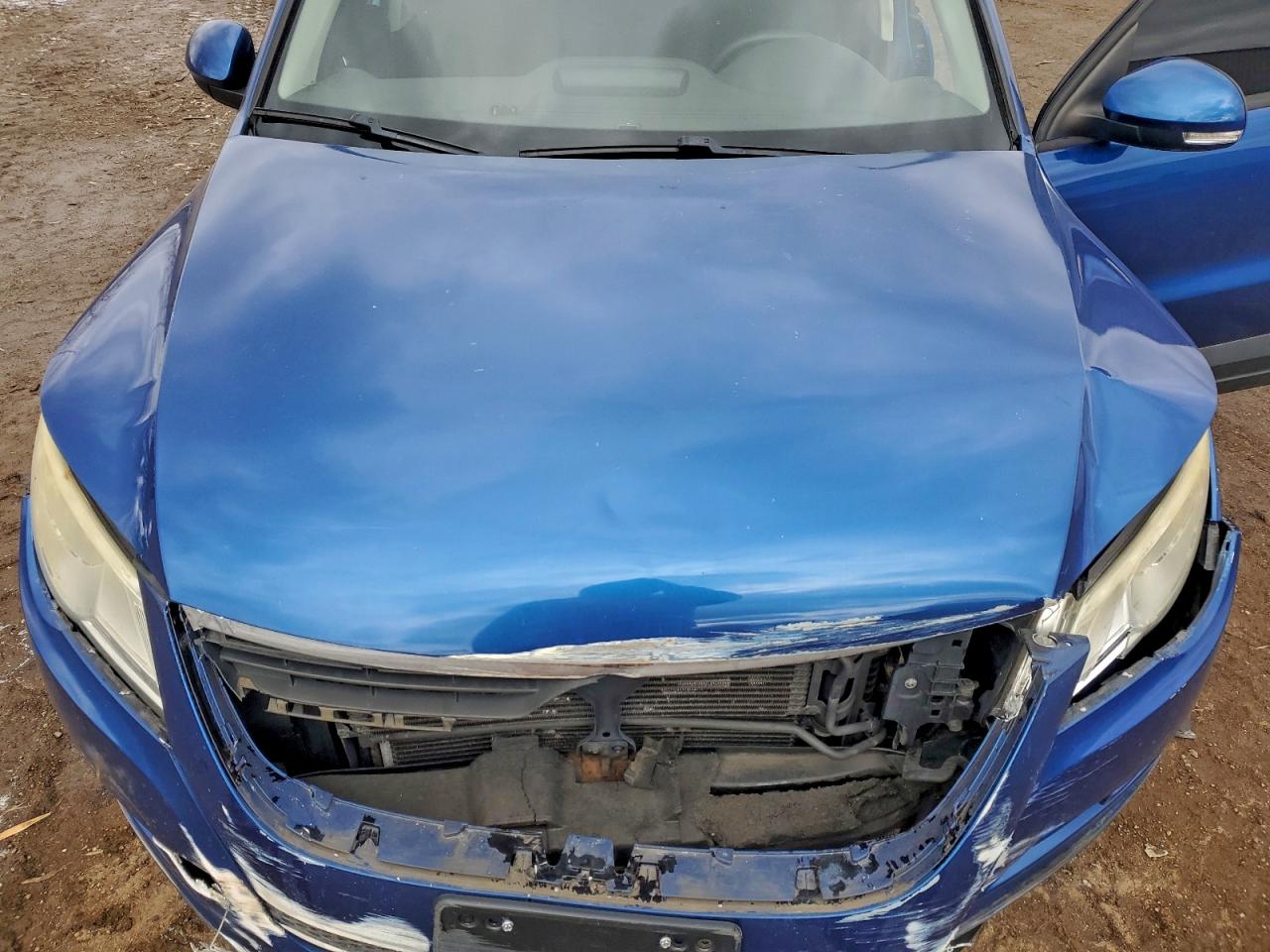 2010 Volkswagen Tiguan S VIN: WVGAV7AX7AW003451 Lot: 94698705