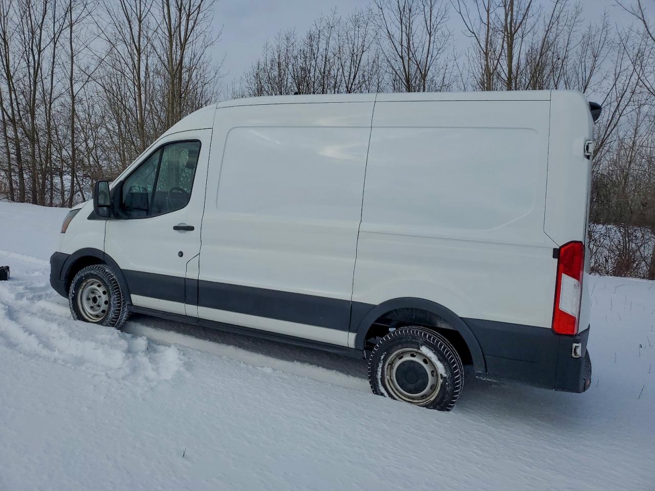 2020 Ford Transit T-250 VIN: 1FTBR1C82LKA37906 Lot: 95035565