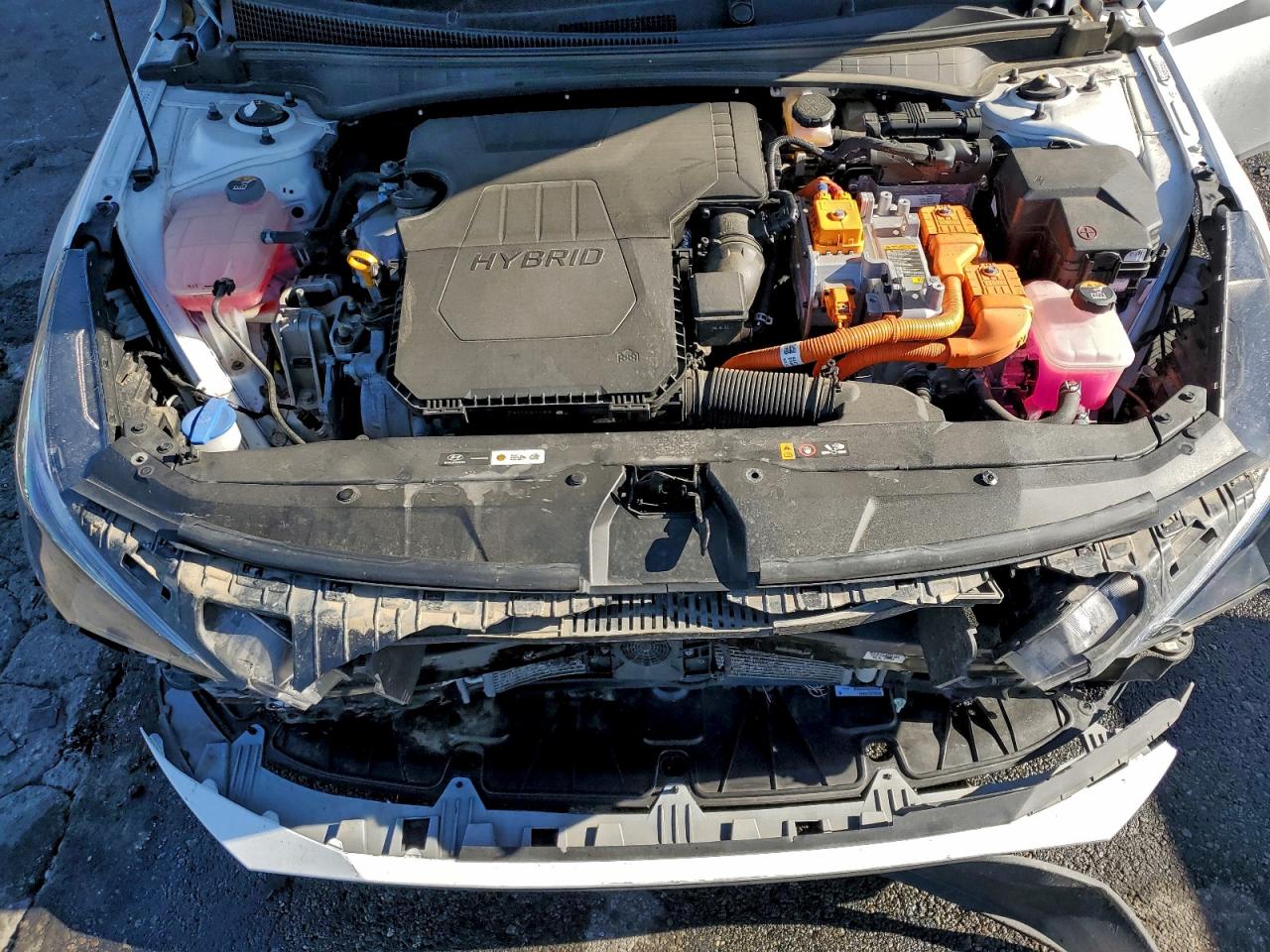 2023 Hyundai Elantra Blue VIN: KMHLM4AJ0PU034101 Lot: 98023565