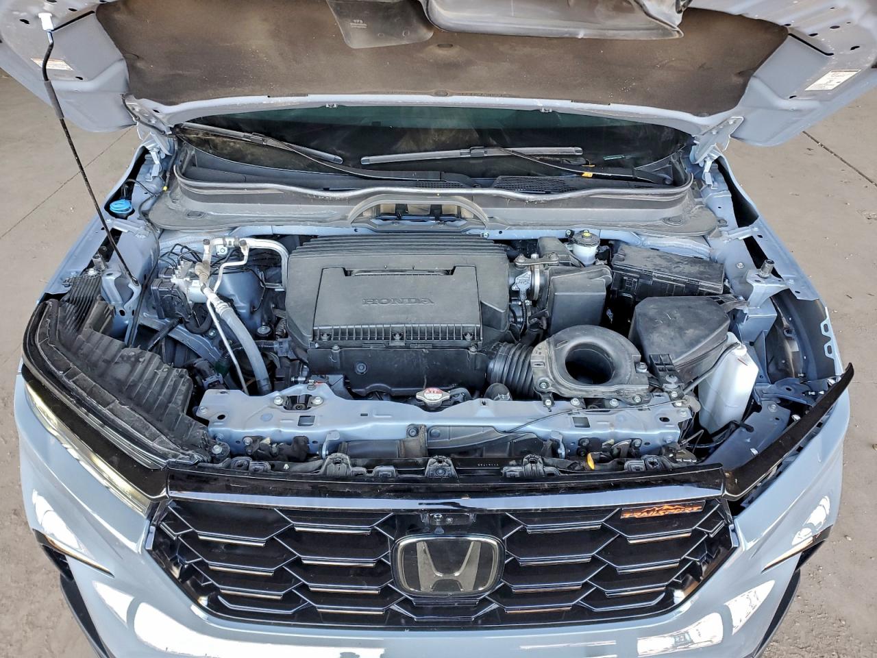 2023 Honda Pilot Trailsport VIN: 5FNYG1H65PB012489 Lot: 95691385