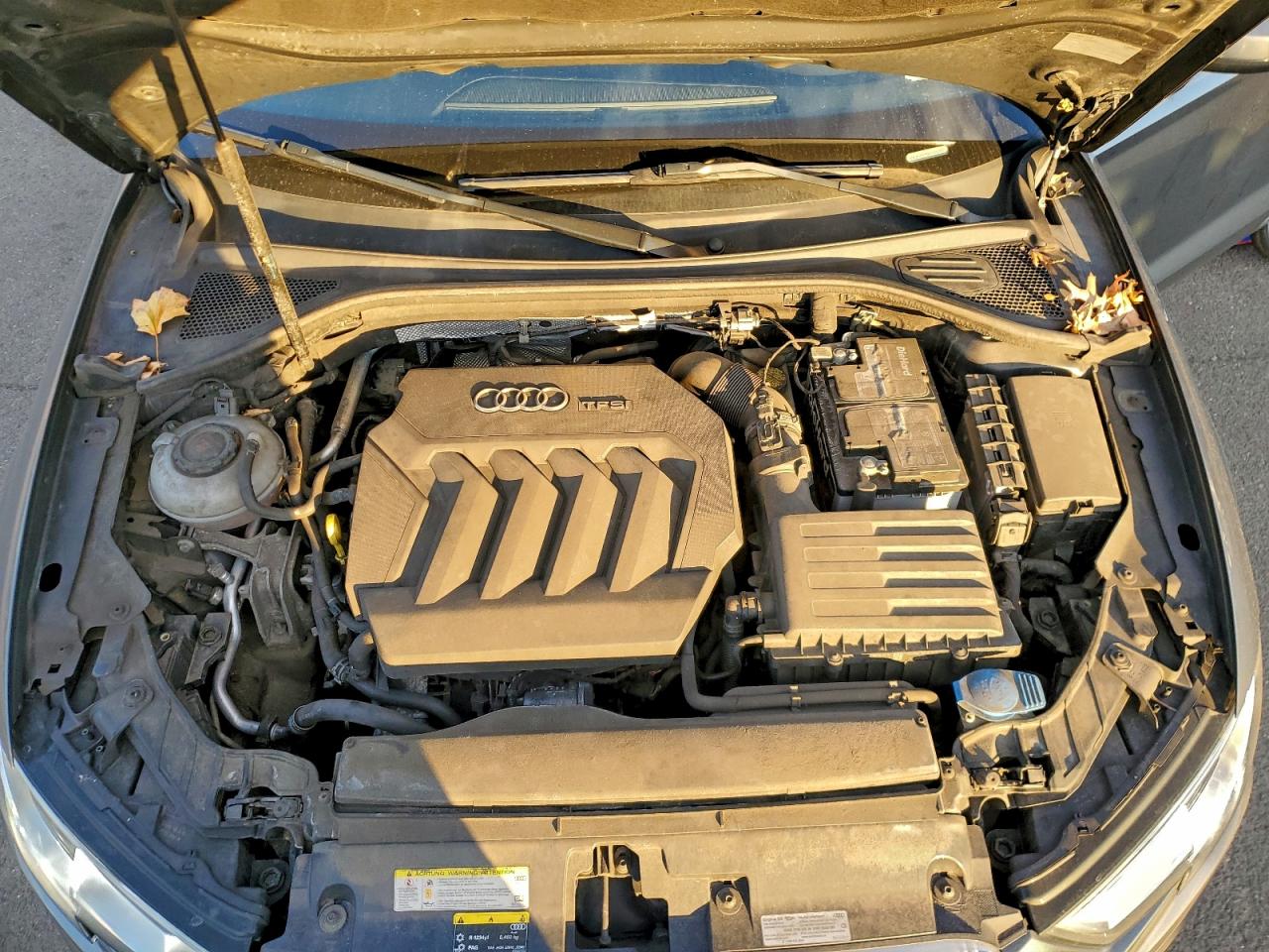 Фото: WAUAUGFF3K1010352