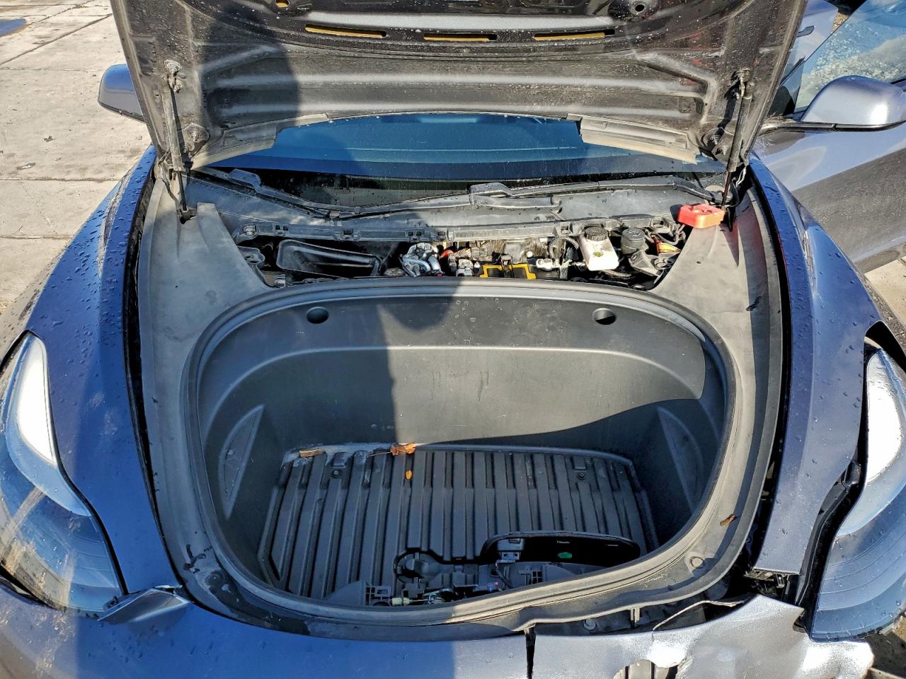 2021 Tesla Model 3 VIN: 5YJ3E1EB0MF902511 Lot: 95562575