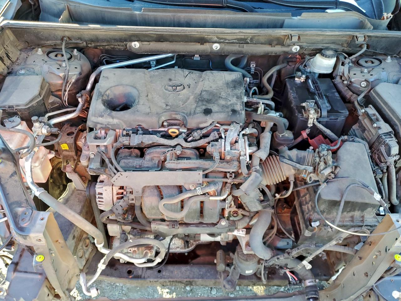 2019 Toyota Rav4 Xle VIN: 2T3P1RFV0KW004082 Lot: 94230065