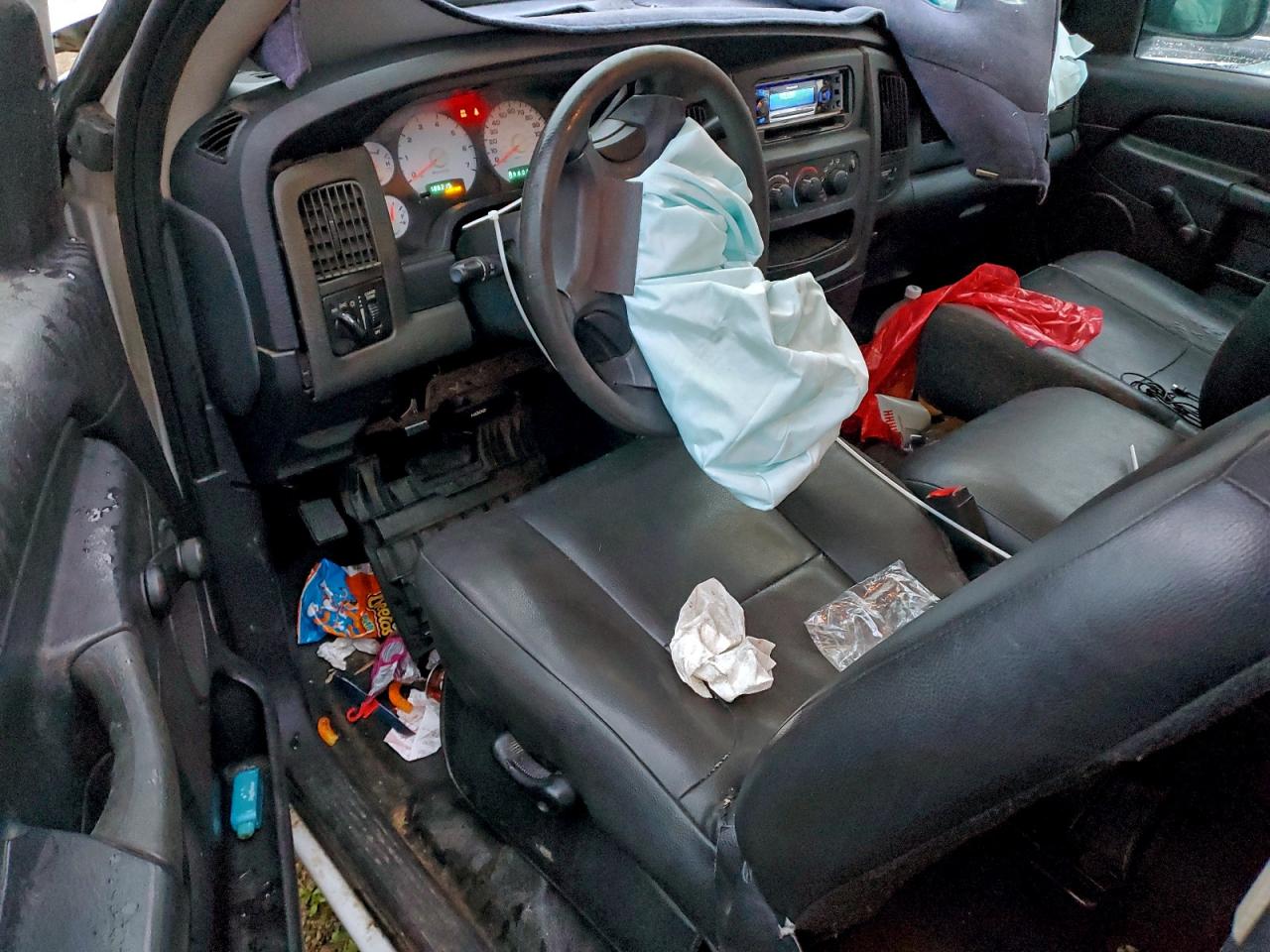 2002 Dodge Ram 1500 VIN: 1D3HA16N42J171346 Lot: 92478385