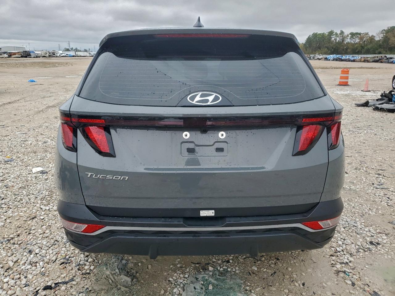 2024 Hyundai Tucson Se VIN: 5NMJA3DE9RH439977 Lot: 94876895