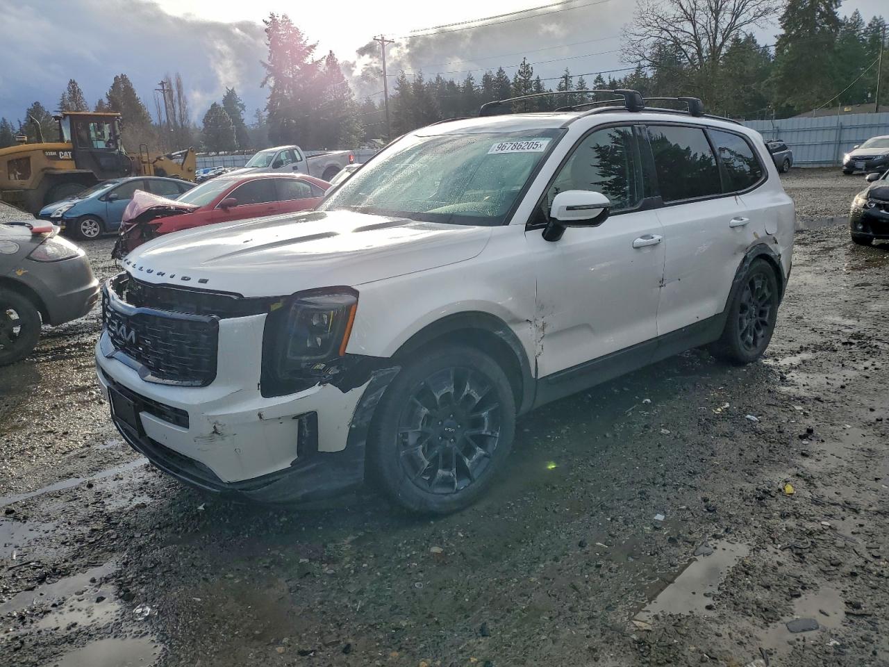 2022 Kia Telluride Sx VIN: 5XYP5DHC1NG272452 Lot: 96786205