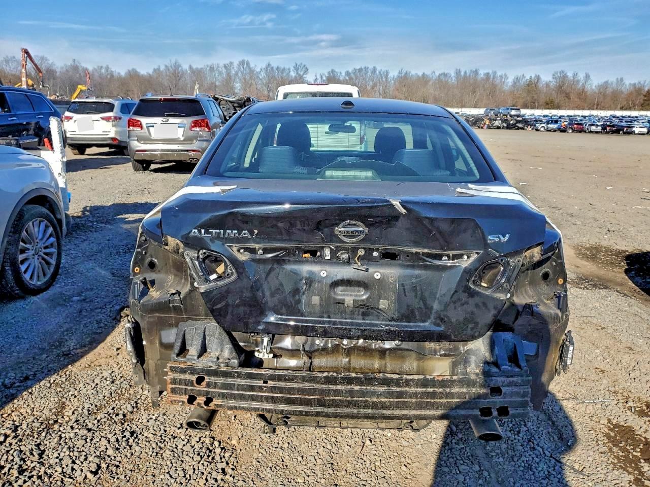 2016 Nissan Altima 2.5 VIN: 1N4AL3APXGC290349 Lot: 96183115