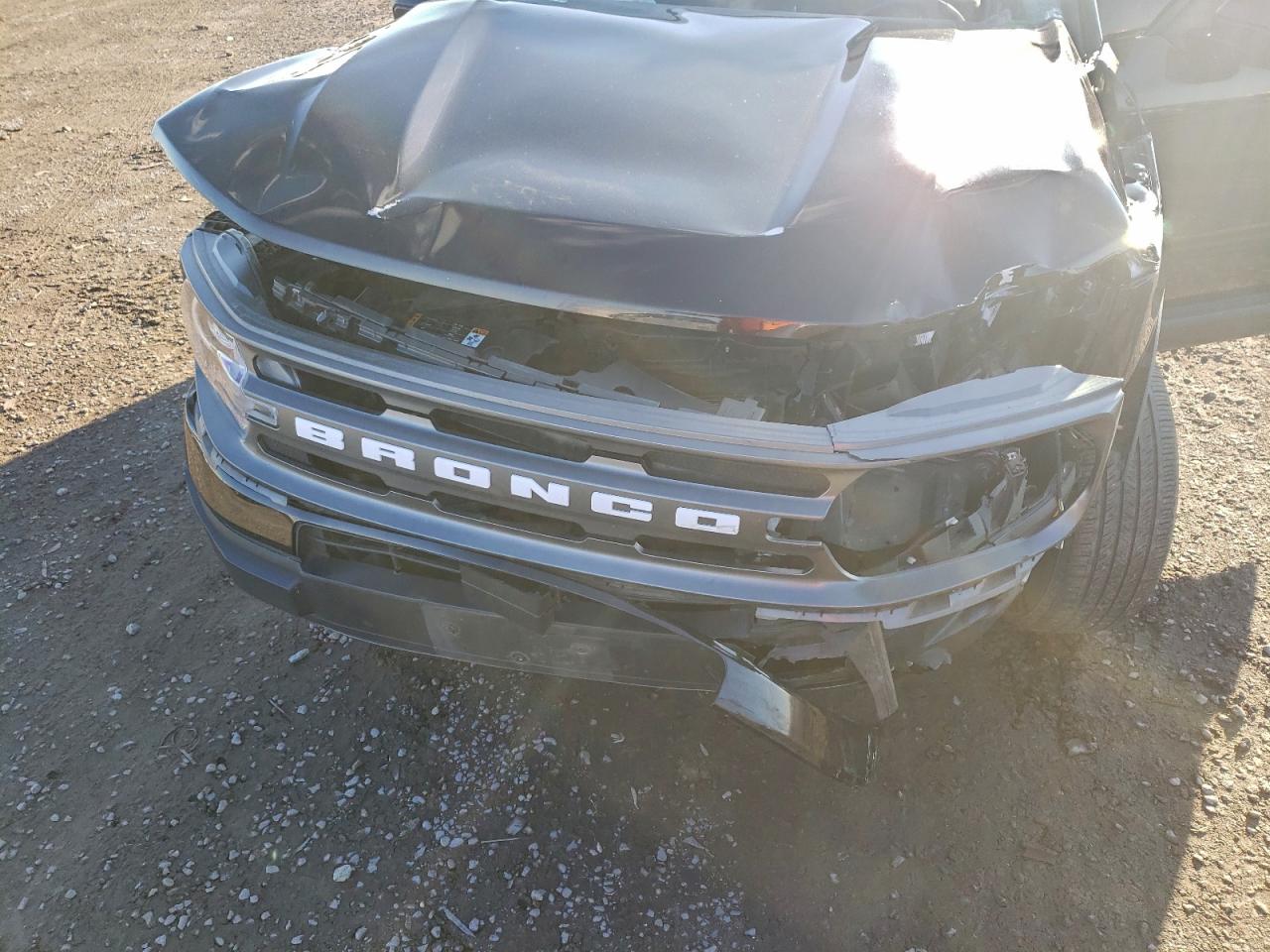 2021 Ford Bronco Sport Big Bend VIN: 3FMCR9B60MRA42324 Lot: 95158335