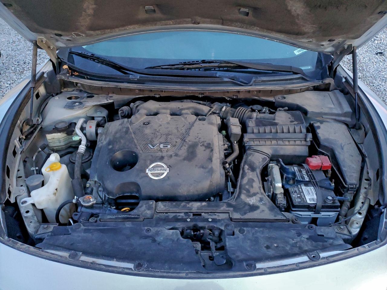 2009 Nissan Maxima S VIN: 1N4AA51E09C822825 Lot: 95517485