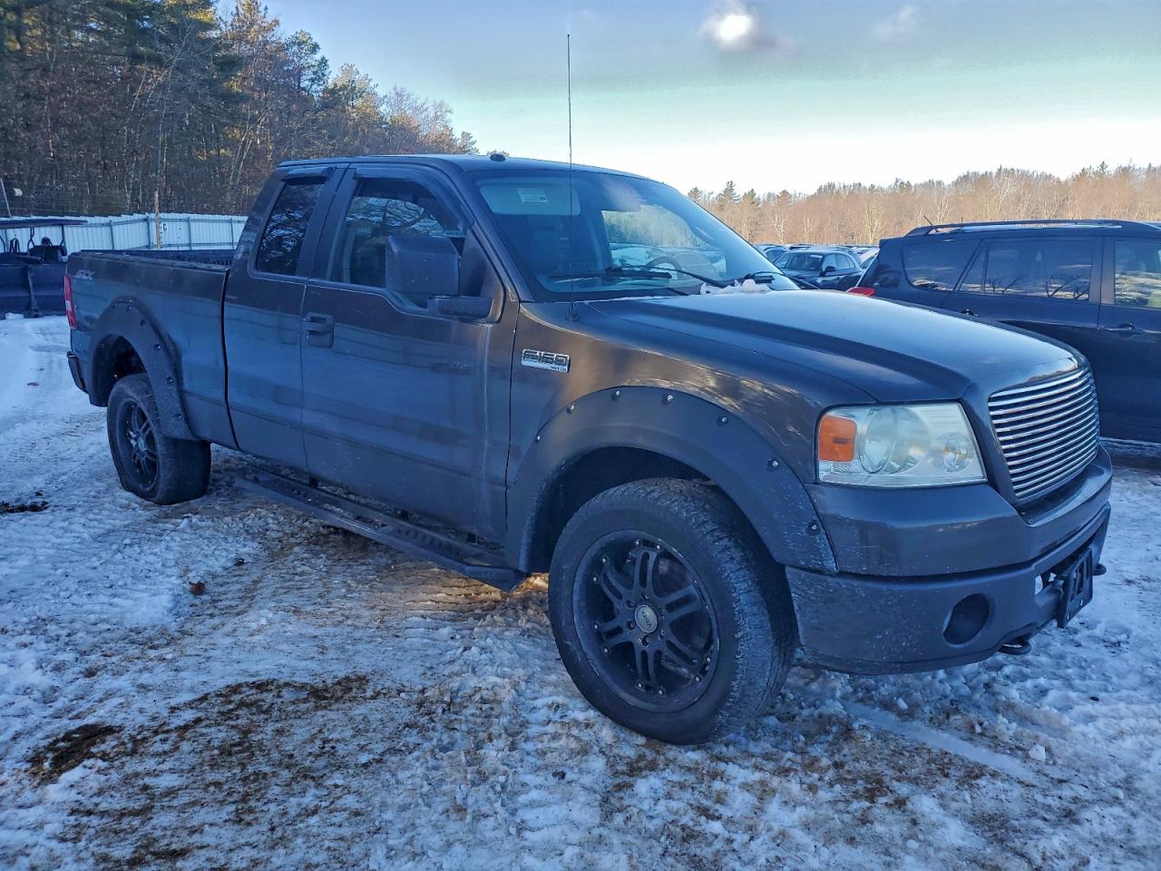 2006 Ford F150 VIN: 1FTRX14W36FA29389 Lot: 96894595