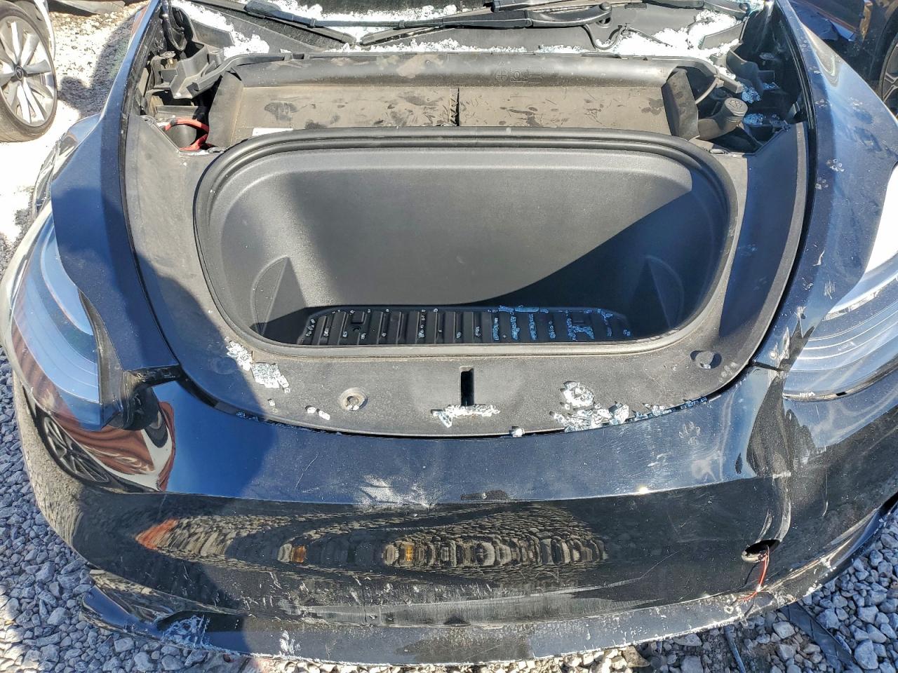 2023 Tesla Model Y VIN: 7SAYGDEE2PA146549 Lot: 95877645