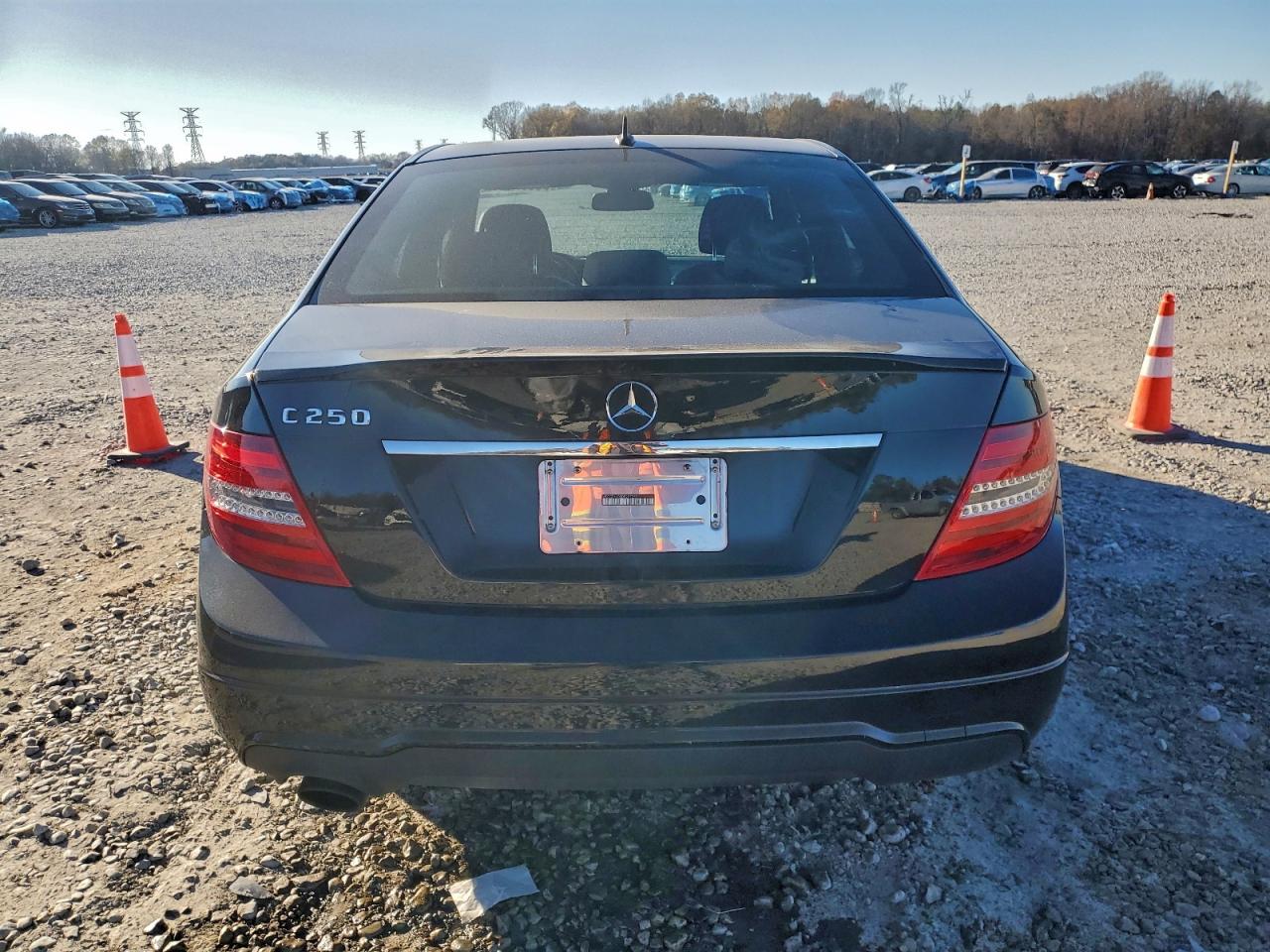 2013 Mercedes-Benz C 250 VIN: WDDGF4HB5DR297252 Lot: 96682865