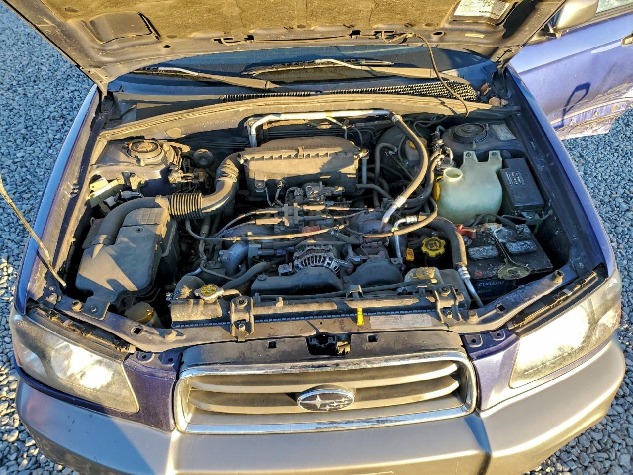 2003 Subaru Forester 2.5Xs VIN: JF1SG65603H764799 Lot: 95153875