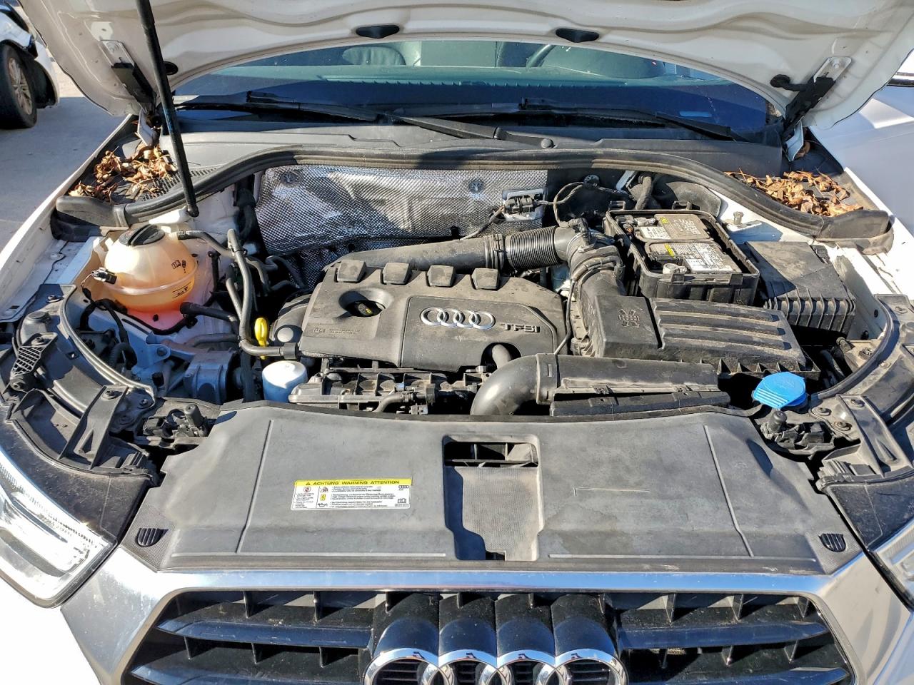 2017 Audi Q3 Premium VIN: WA1BCCFS3HR016852 Lot: 95062755