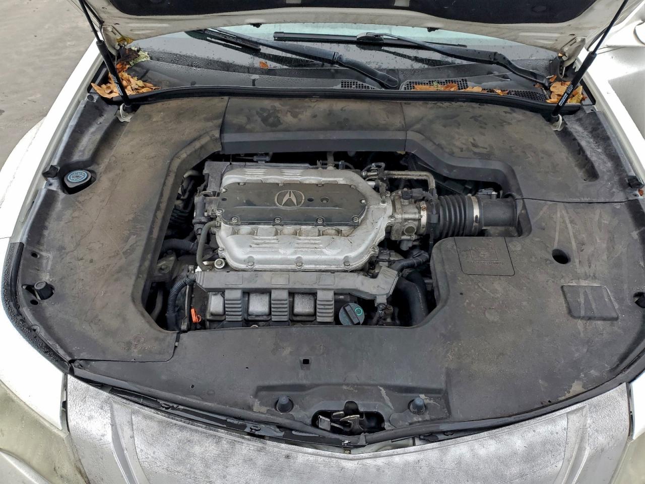 Фото: 19UUA86279A016047