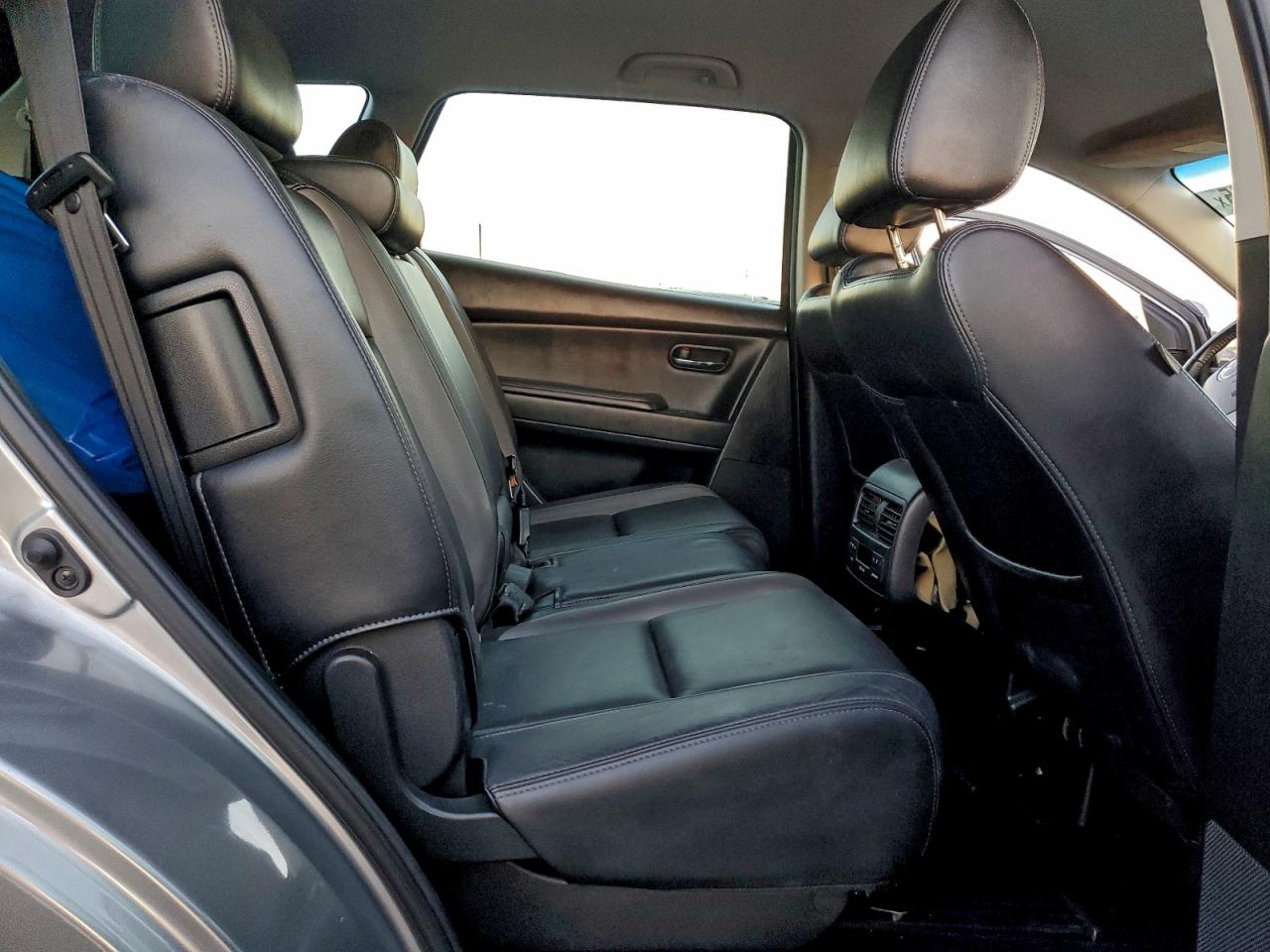 2010 Mazda Cx-9 VIN: JM3TB2MV2A0229863 Lot: 96301905