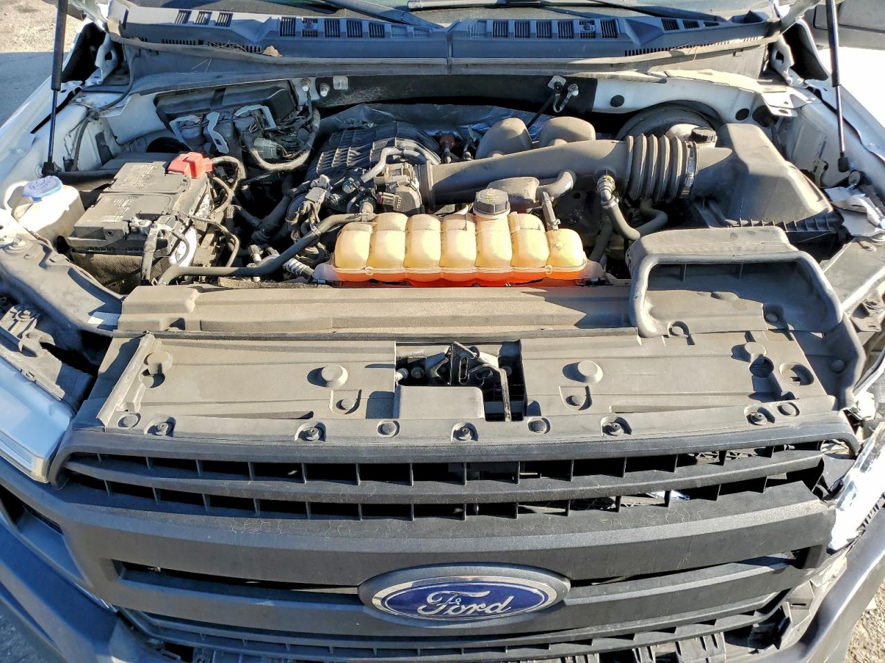 2019 Ford F150 VIN: 1FTMF1CB6KKC03730 Lot: 95558265