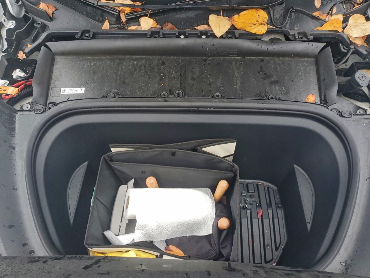 2023 Tesla Model Y VIN: 7SAYGDEE2PF647072 Lot: 96142445