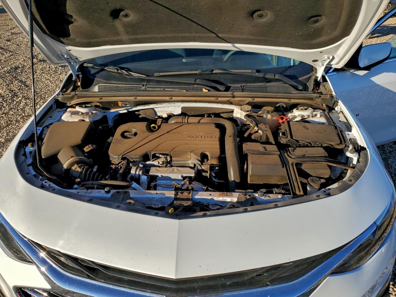 2023 Chevrolet Malibu Lt VIN: 1G1ZD5STXPF221699 Lot: 95082685