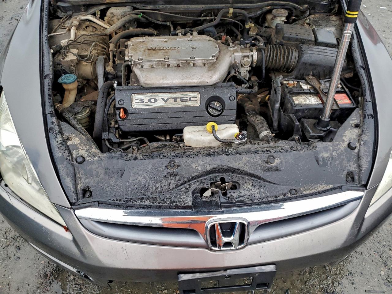 2007 Honda Accord Ex VIN: 1HGCM66527A082729 Lot: 97882775