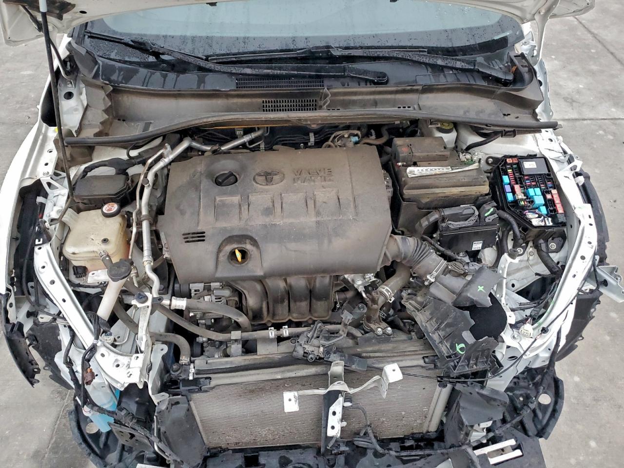 2019 Toyota C-Hr Xle VIN: JTNKHMBX0K1061988 Lot: 94548045