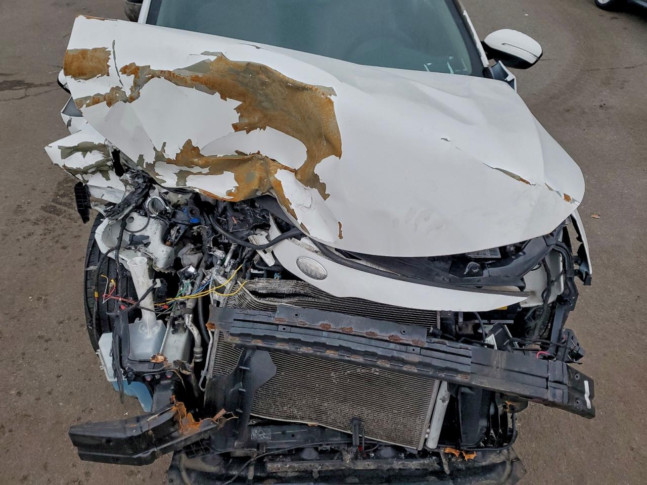 2013 Kia Optima Ex VIN: 5XXGN4A71DG255263 Lot: 95946885