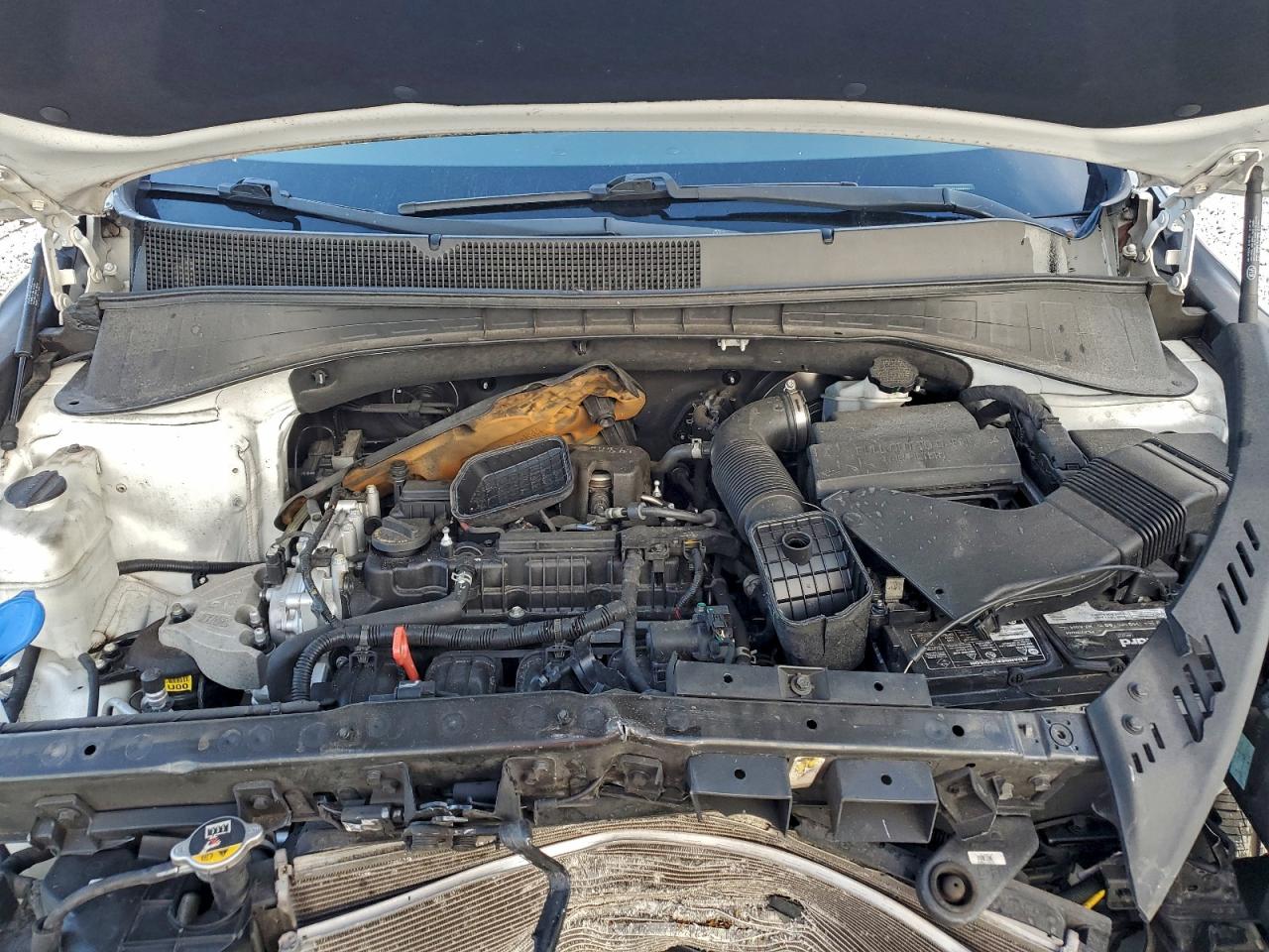 2019 Kia Sorento L VIN: 5XYPG4A32KG554969 Lot: 94895425