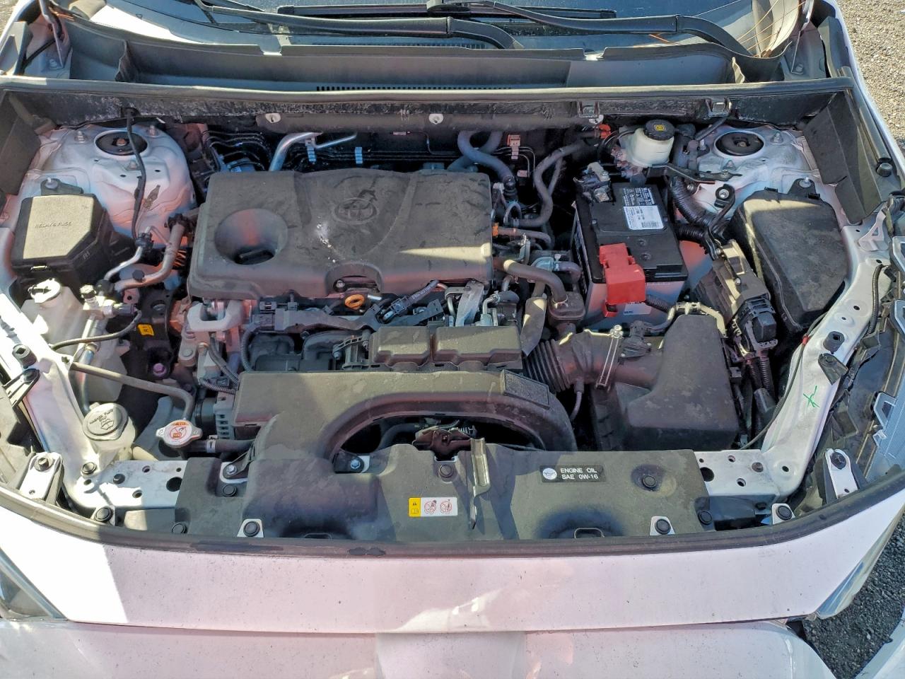 2020 Toyota Rav4 Xle VIN: 2T3P1RFV7LW094994 Lot: 95123095