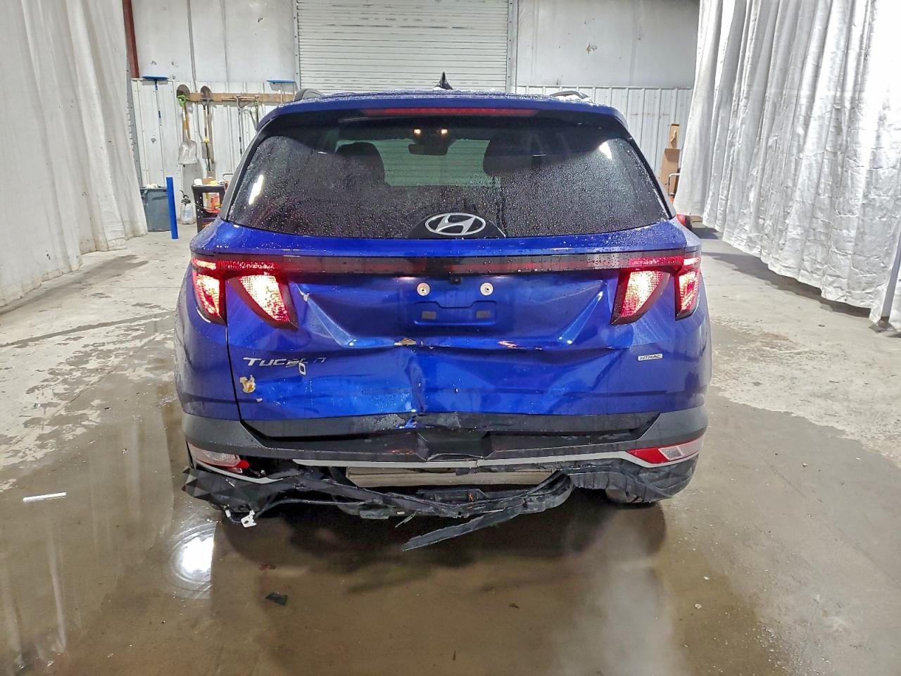 2024 Hyundai Tucson Sel VIN: 5NMJBCDEXRH346494 Lot: 96685855