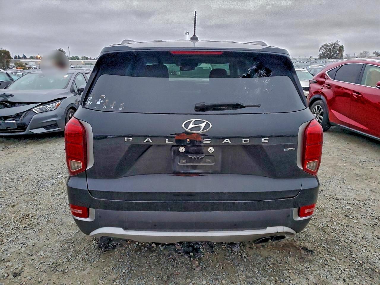2020 Hyundai Palisade Sel VIN: KM8R2DHE7LU105409 Lot: 96067295