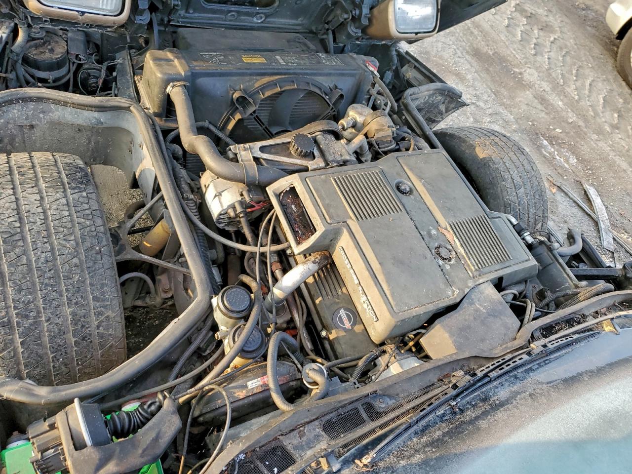 1984 Chevrolet Corvette VIN: 1G1AY0788E5102349 Lot: 95081655