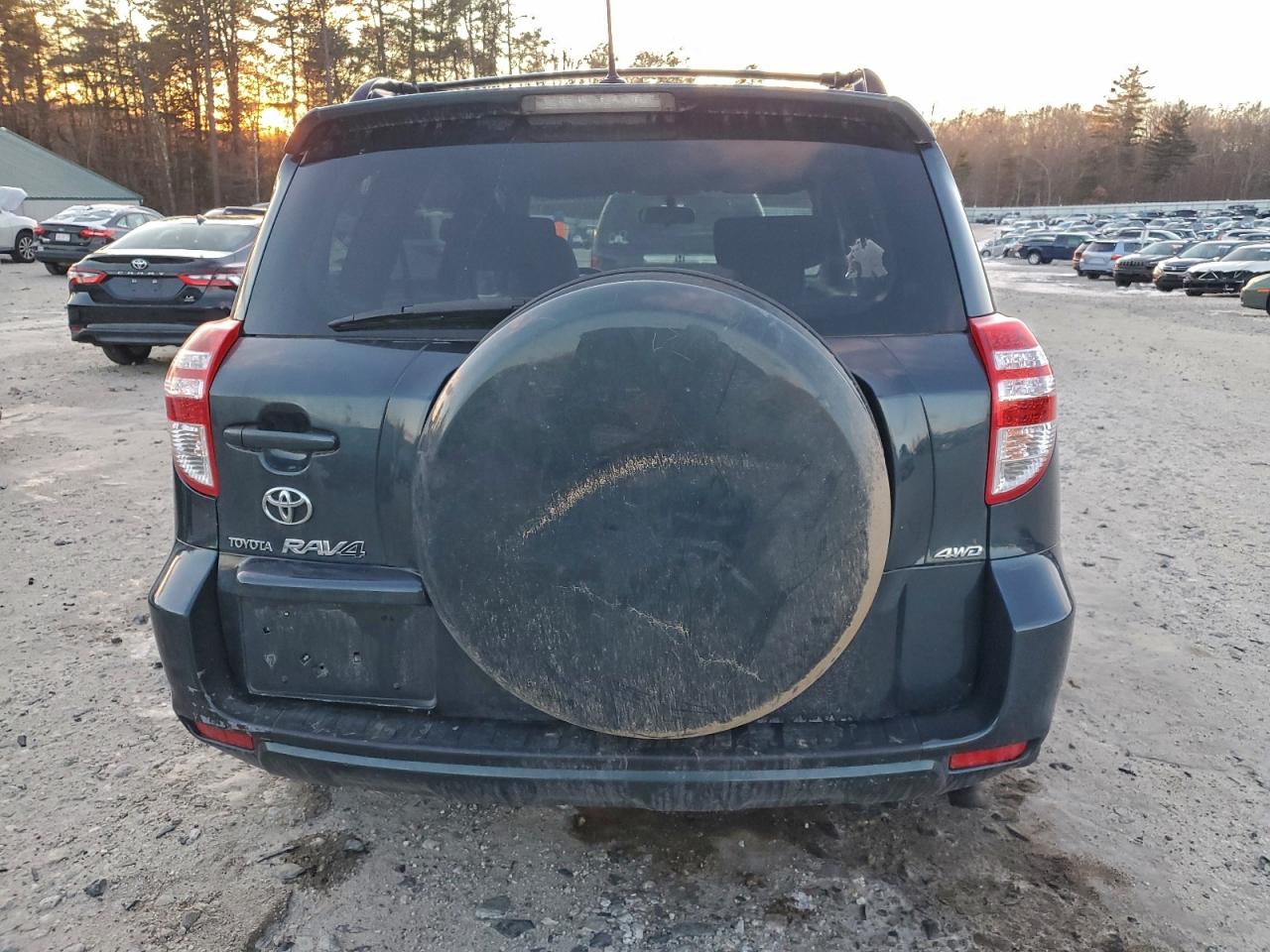 2009 Toyota Rav4 VIN: JTMBF33V195010536 Lot: 96588585