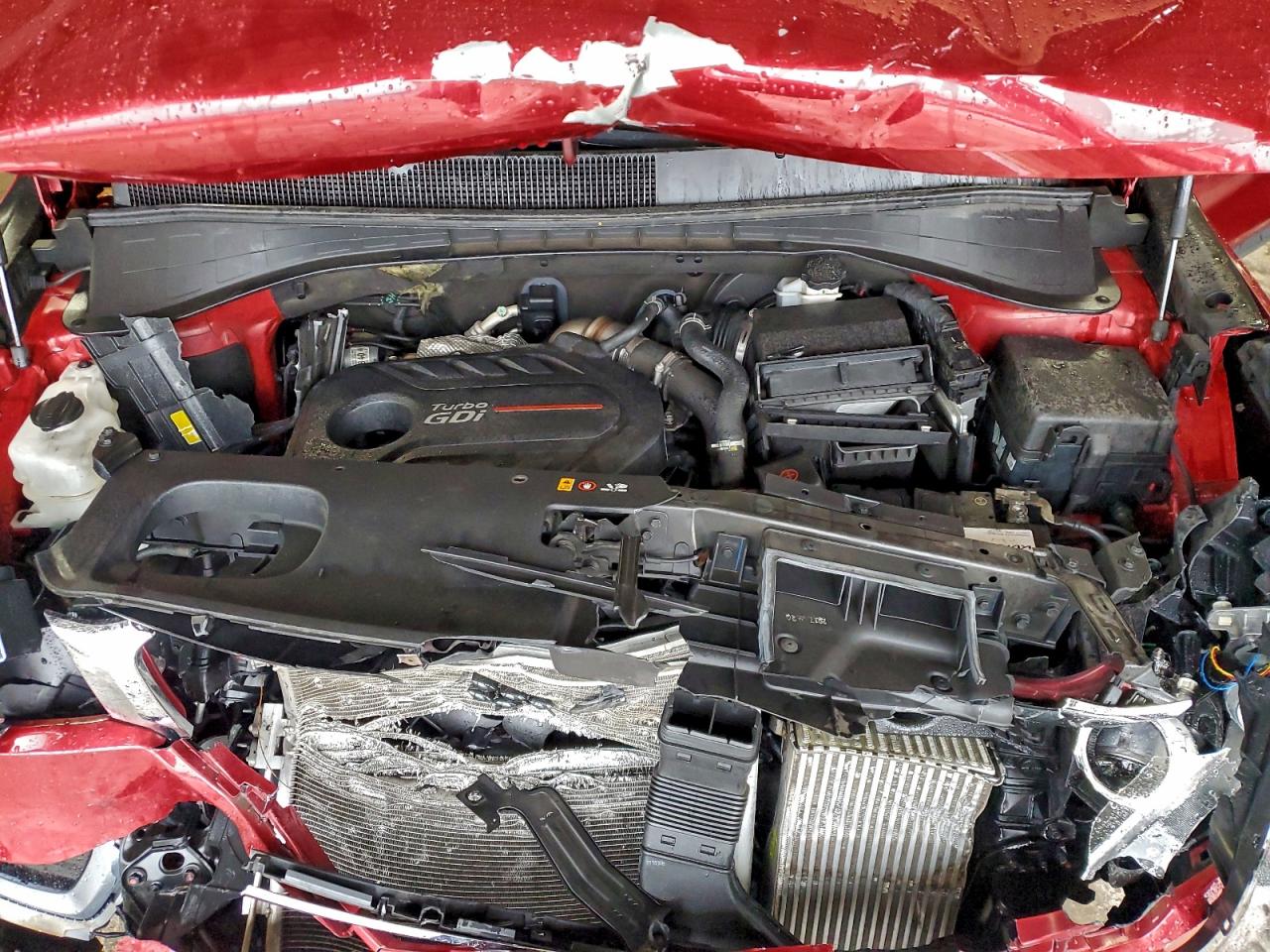 2016 Kia Sorento Ex VIN: 5XYPHDA13GG017224 Lot: 94957455