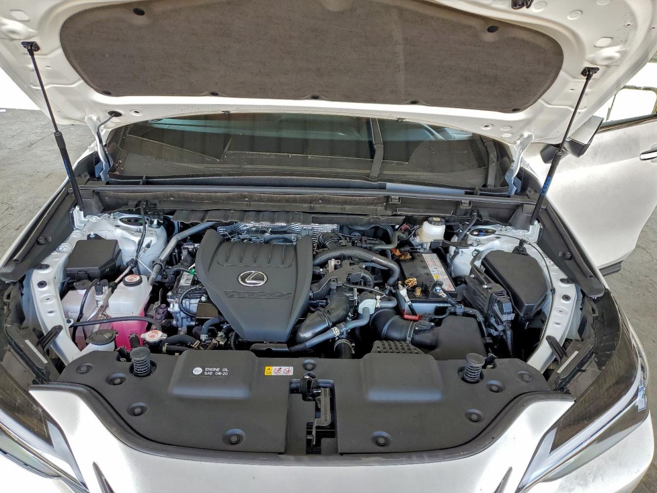 2025 Lexus Nx 350 Premium VIN: JTJGGCEZ8S5011513 Lot: 95001495