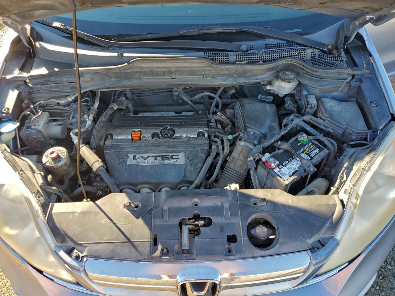 2007 Honda Cr-V Exl VIN: JHLRE38757C043563 Lot: 96202805