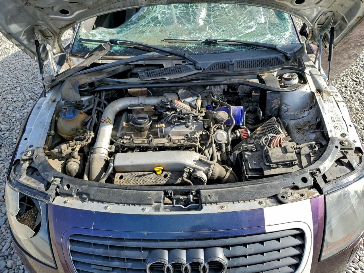 Фото: TRUUT28N211022247