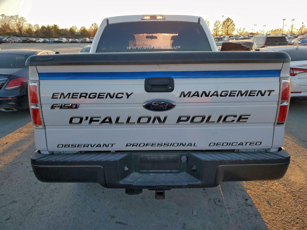 2010 Ford F150 Supercrew VIN: 1FTEW1E82AFB53101 Lot: 96905575