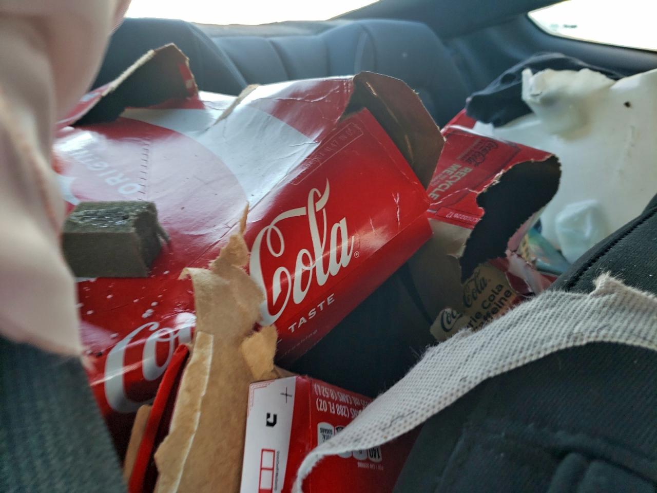 2017 Ford Mustang VIN: 1FA6P8TH9H5257118 Lot: 95110305