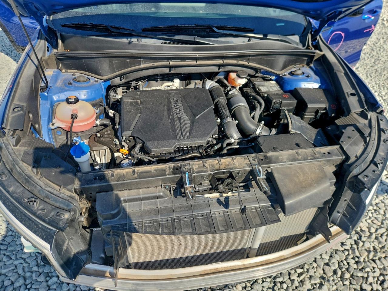 2021 Kia Sorento Ex VIN: 5XYRHDLF4MG025569 Lot: 94967855