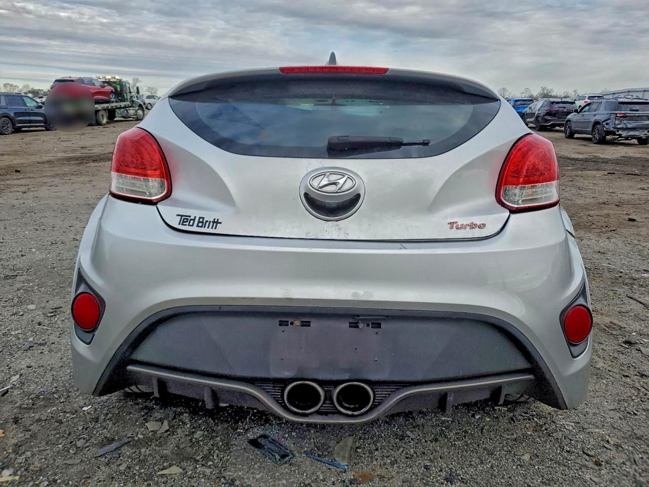 2013 Hyundai Veloster Turbo VIN: KMHTC6AE9DU100772 Lot: 94591305