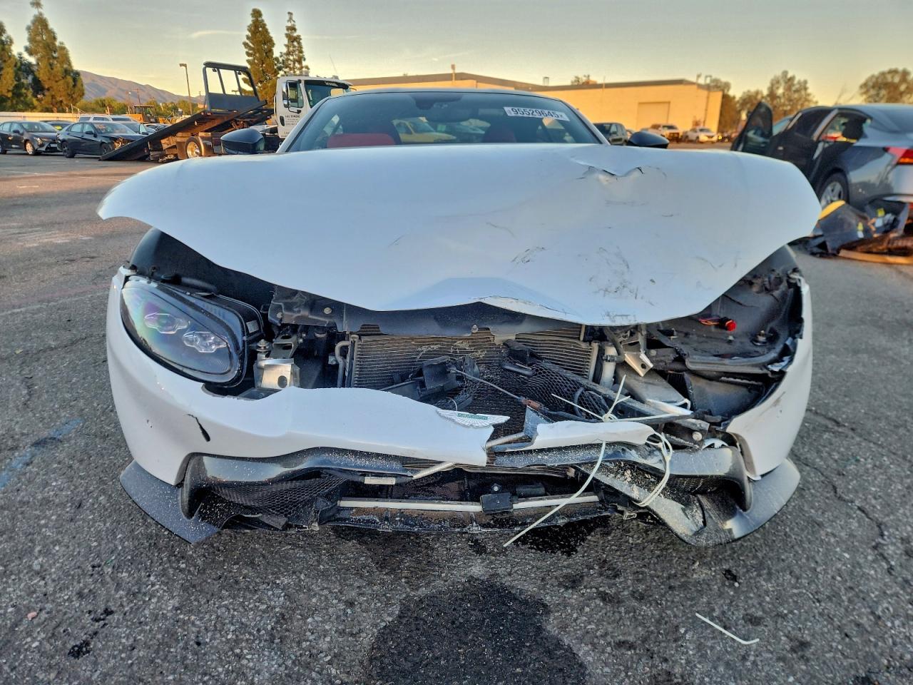 2019 Aston Martin Vantage VIN: SCFSMGAW0KGN01121 Lot: 95529645