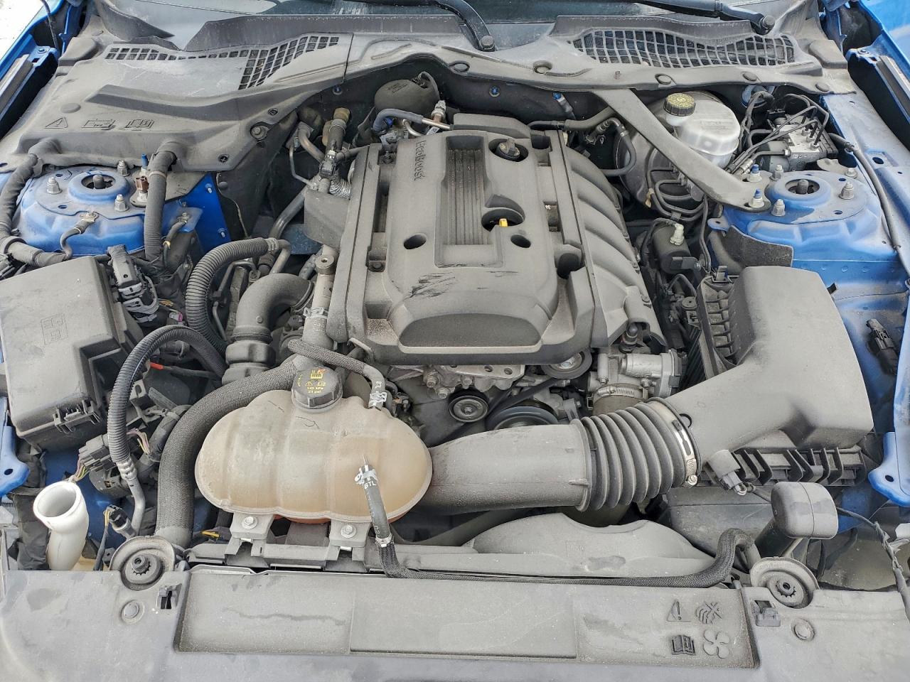 2019 Ford Mustang VIN: 1FATP8UHXK5121136 Lot: 96002785